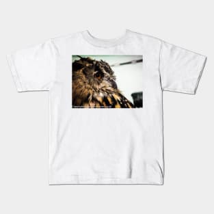 Tawny owl in colour 1 Kids T-Shirt